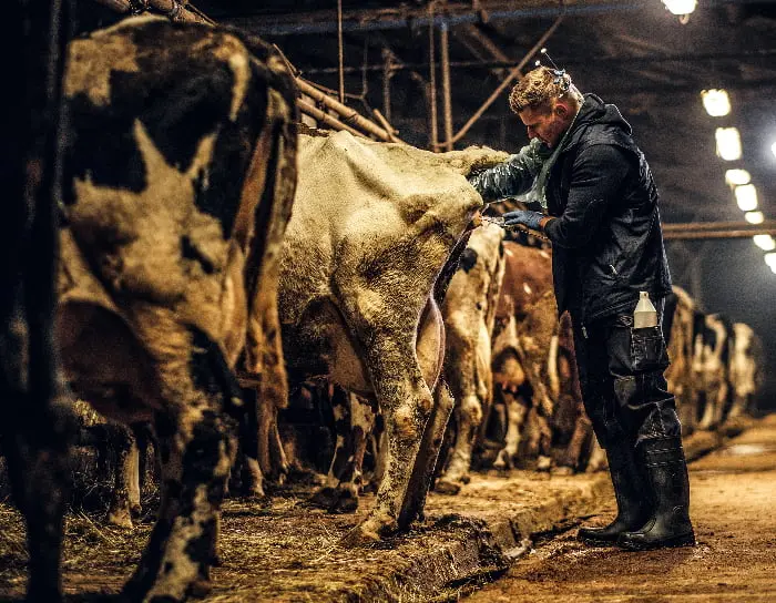 raarste beroepen ter wereld inseminator