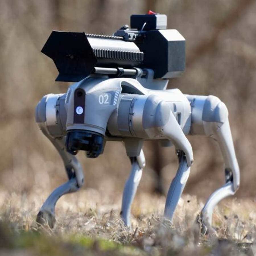 robothond