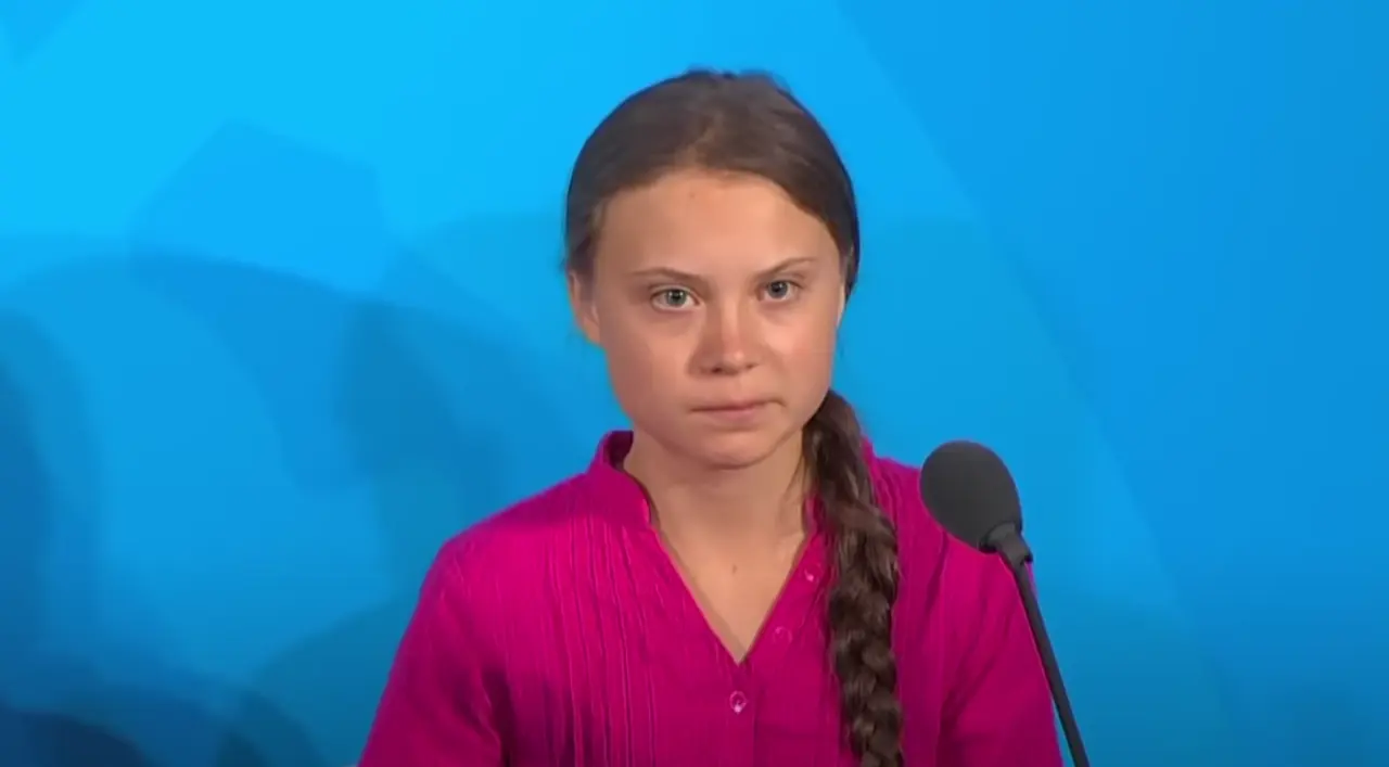 Vermogen Greta Thunberg