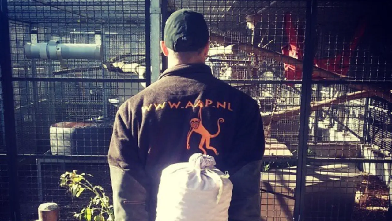 salaris-dierenverzorger-stichting-aap