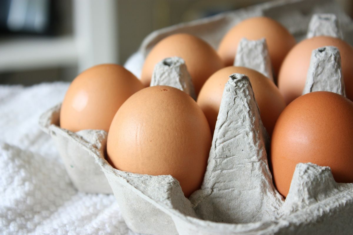 eieren vogelgriep