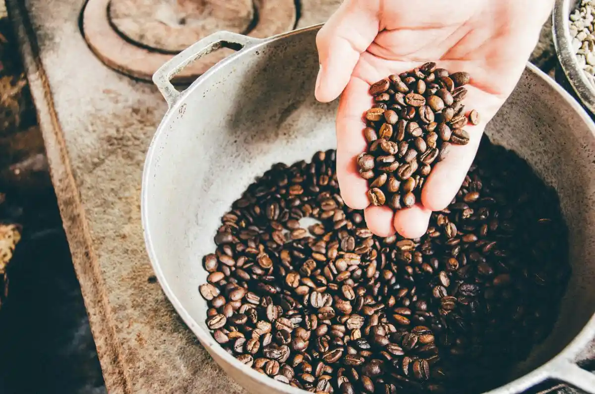 koffie geschiedenis
