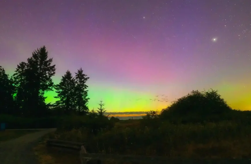 noorderlicht in nederland
